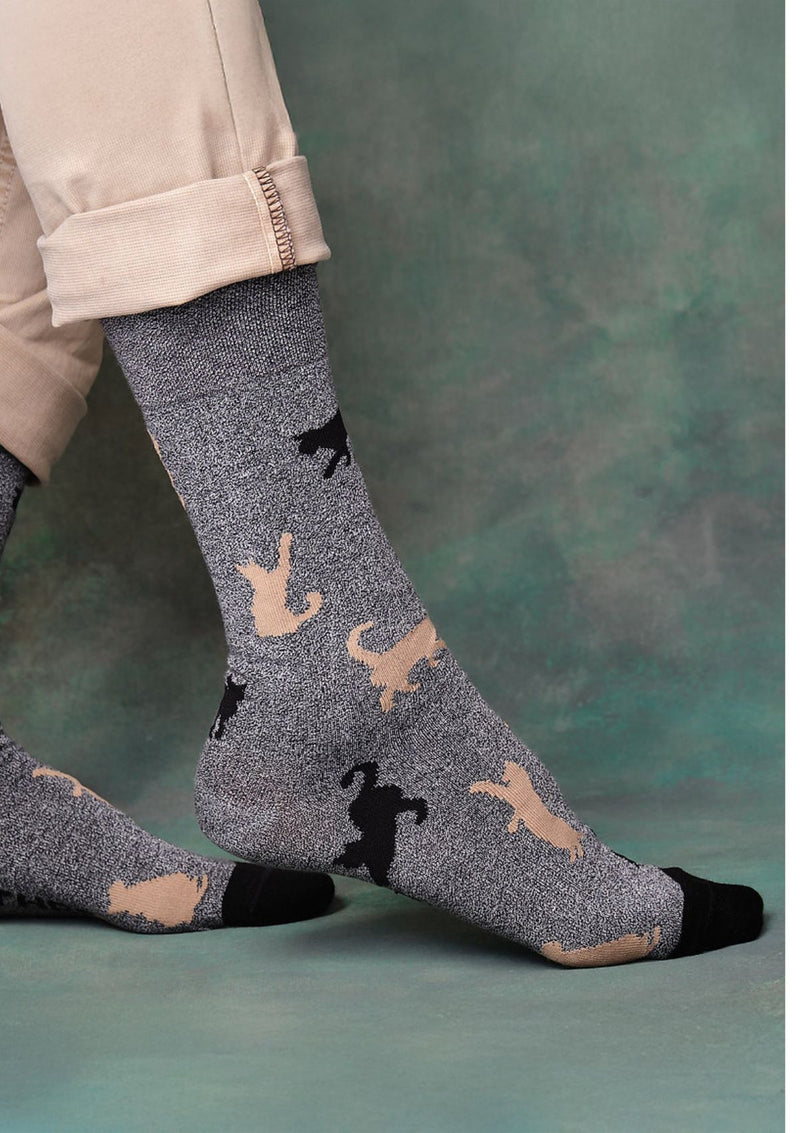MEDIAS CATLOVER