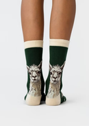 MEDIAS LLAMAS FACE