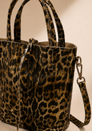 CARTERA CASSIS